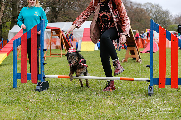 MottramShow2013-2545_bluplanetphoto