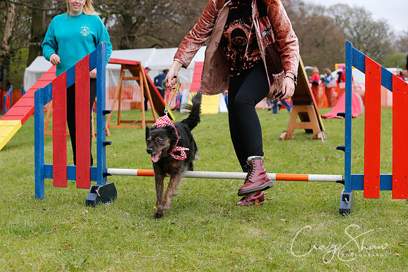 MottramShow2013-2546_bluplanetphoto