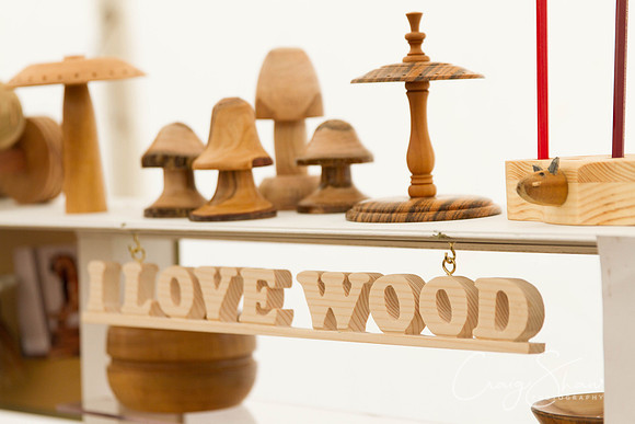 MottramShow2013-2612_bluplanetphoto