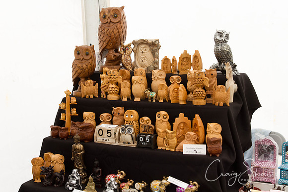 MottramShow2013-2615_bluplanetphoto