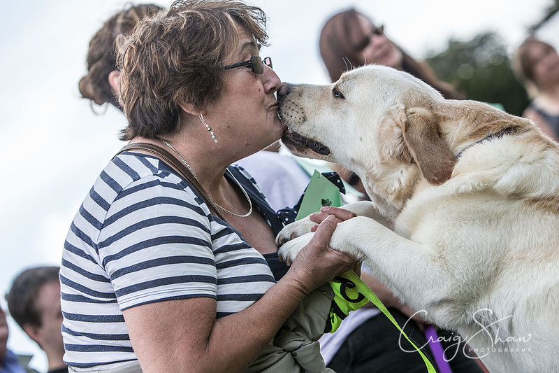 1445_K9Partyinthepark2014_RSPCAHalifax_bluplanetphoto