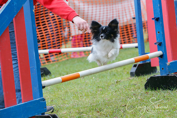 MottramShow2013-1071_bluplanetphoto