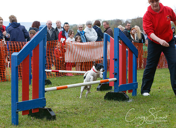 MottramShow2013-1098_bluplanetphoto