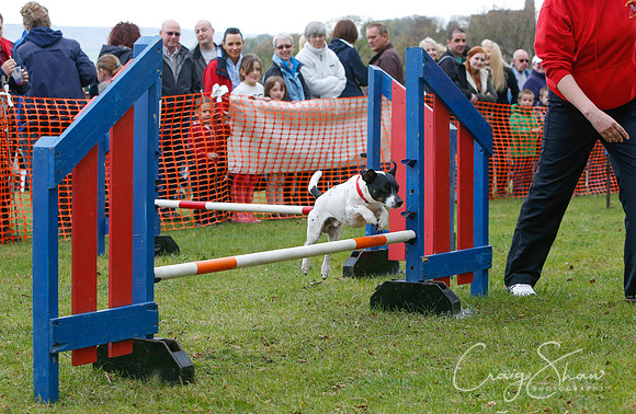 MottramShow2013-1099_bluplanetphoto