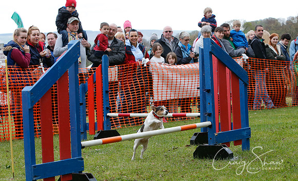 MottramShow2013-1160_bluplanetphoto