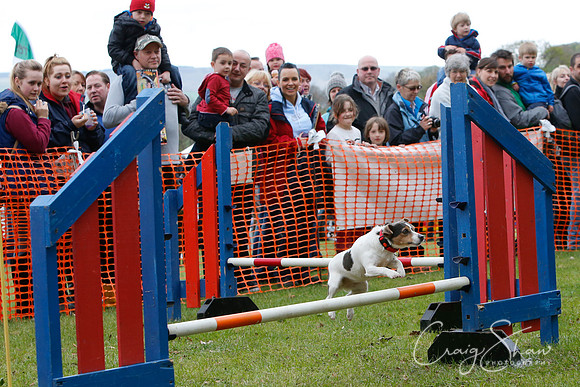 MottramShow2013-1161_bluplanetphoto
