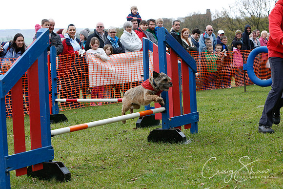 MottramShow2013-1187_bluplanetphoto