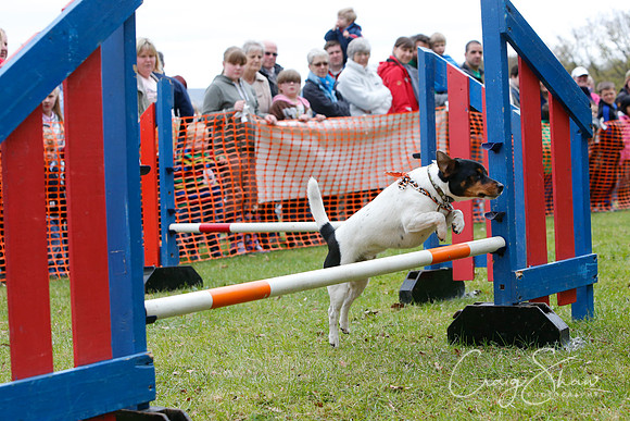 MottramShow2013-1232_bluplanetphoto