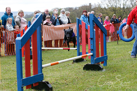 MottramShow2013-1282_bluplanetphoto