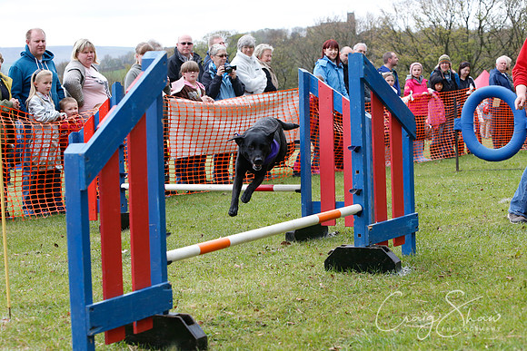 MottramShow2013-1283_bluplanetphoto