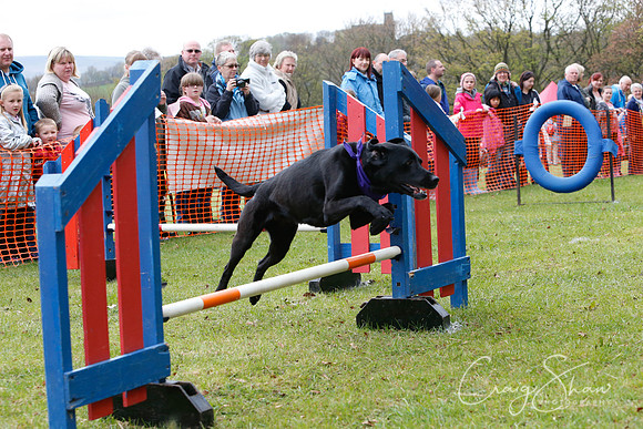 MottramShow2013-1287_bluplanetphoto