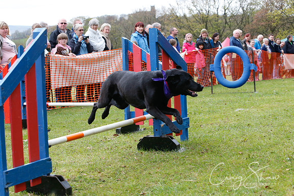 MottramShow2013-1288_bluplanetphoto