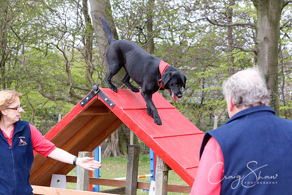 MottramShow2013-1301_bluplanetphoto