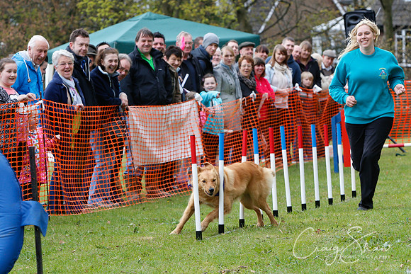 MottramShow2013-1334_bluplanetphoto