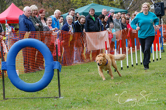 MottramShow2013-1336_bluplanetphoto