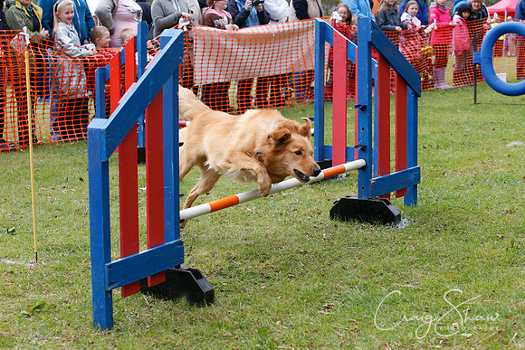 MottramShow2013-1340_bluplanetphoto
