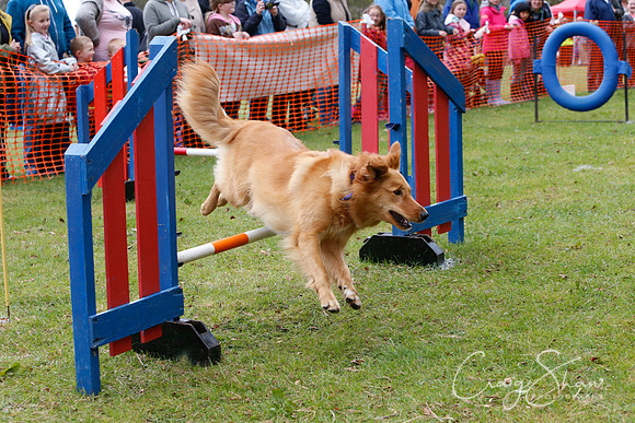 MottramShow2013-1341_bluplanetphoto