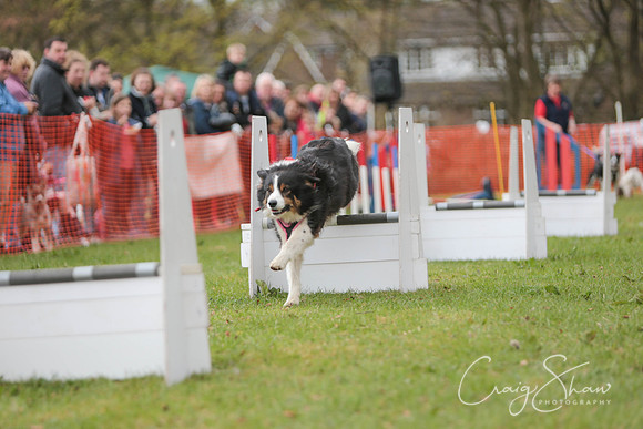 MottramShow2013-1667_bluplanetphoto