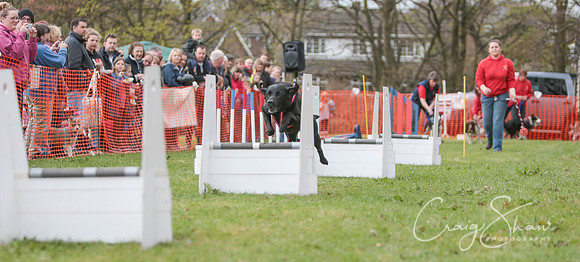 MottramShow2013-1690_bluplanetphoto