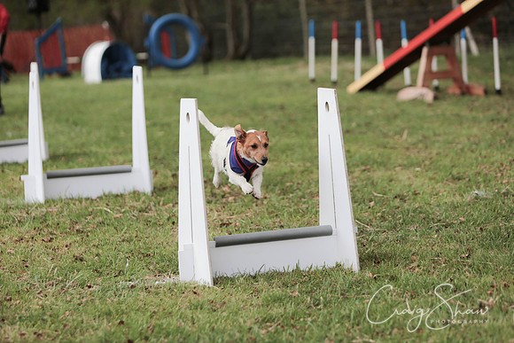 MottramShow2013-1742_bluplanetphoto