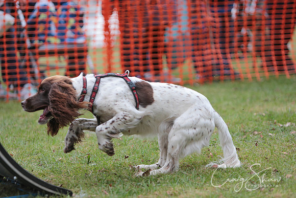 MottramShow2013-1753_bluplanetphoto