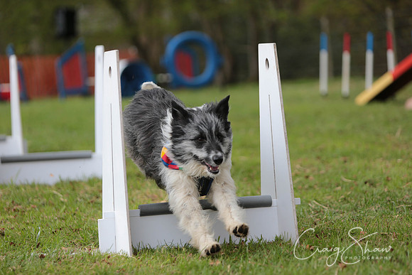 MottramShow2013-1763_bluplanetphoto