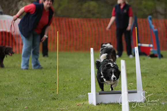 MottramShow2013-1816_bluplanetphoto