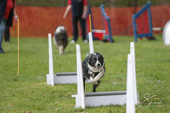MottramShow2013-1818_bluplanetphoto
