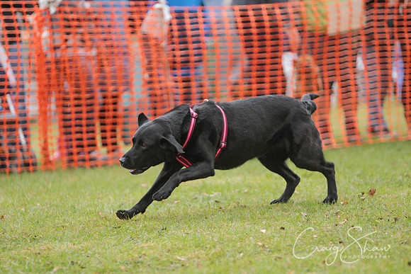 MottramShow2013-1840_bluplanetphoto