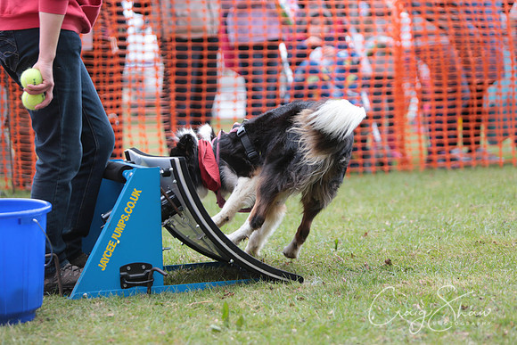 MottramShow2013-1937_bluplanetphoto
