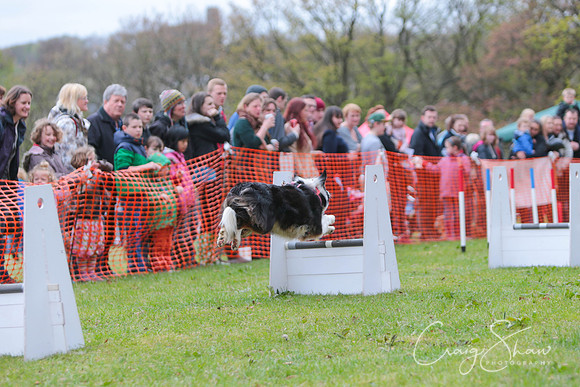 MottramShow2013-1942_bluplanetphoto
