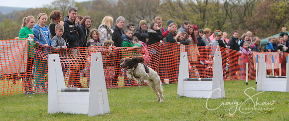 MottramShow2013-1947_bluplanetphoto