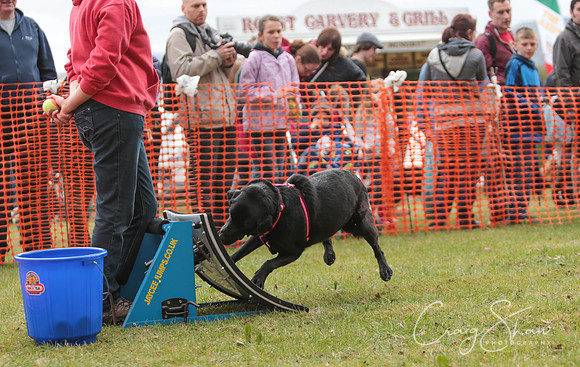 MottramShow2013-1961_bluplanetphoto