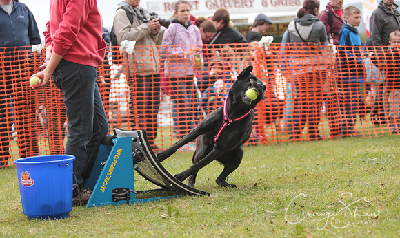MottramShow2013-1962_bluplanetphoto