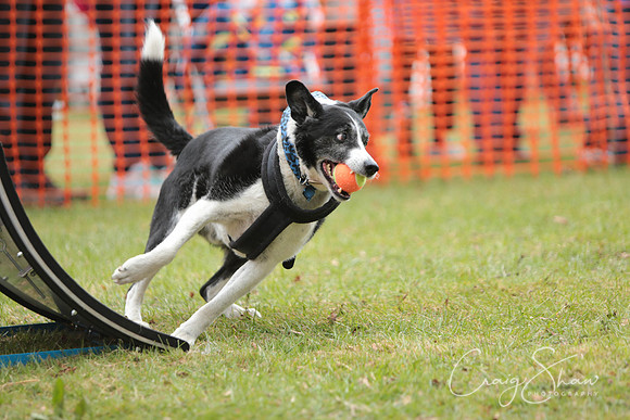 MottramShow2013-1971_bluplanetphoto