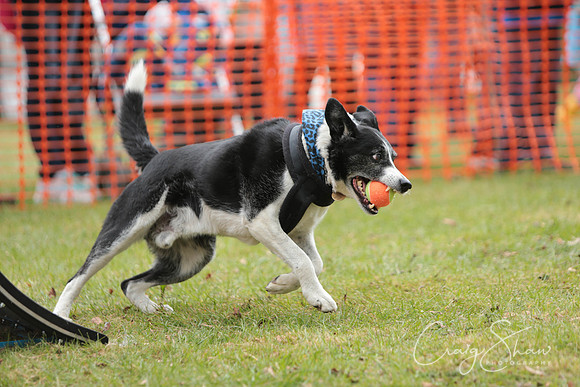 MottramShow2013-1972_bluplanetphoto