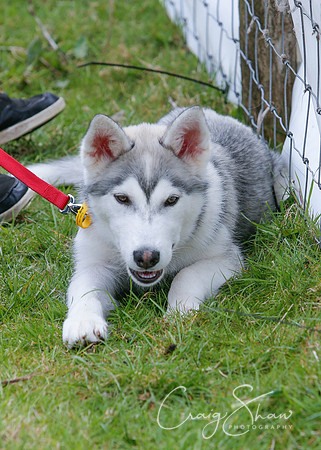 MottramShow2013-2008_bluplanetphoto