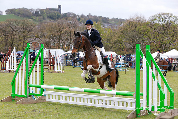 MottramShow2013-2372_bluplanetphoto