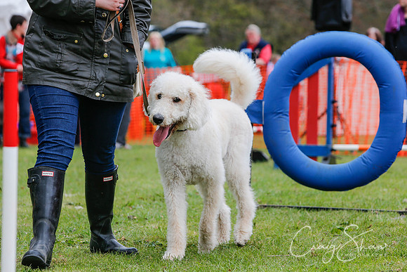 MottramShow2013-2427_bluplanetphoto