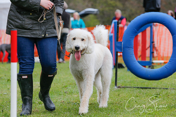 MottramShow2013-2428_bluplanetphoto