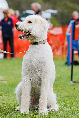 MottramShow2013-2432_bluplanetphoto