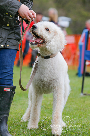 MottramShow2013-2434_bluplanetphoto