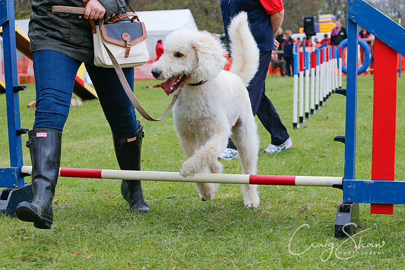 MottramShow2013-2439_bluplanetphoto