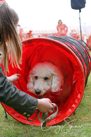 MottramShow2013-2445_bluplanetphoto