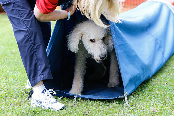 MottramShow2013-2460_bluplanetphoto