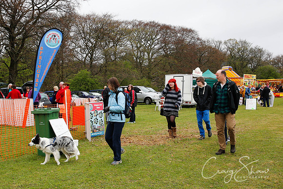 MottramShow2013-331_bluplanetphoto