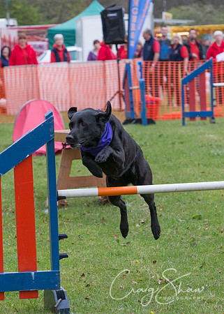 MottramShow2013-467_bluplanetphoto