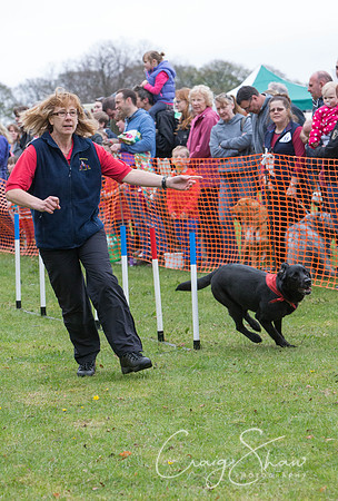 MottramShow2013-487_bluplanetphoto