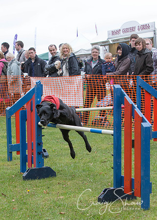 MottramShow2013-493_bluplanetphoto