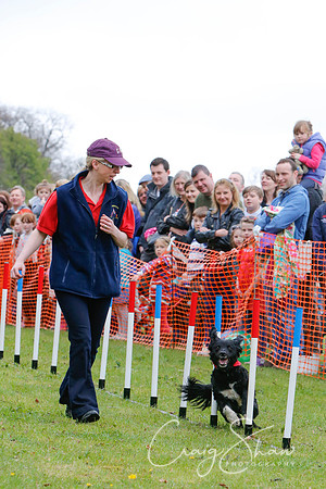 MottramShow2013-595_bluplanetphoto
